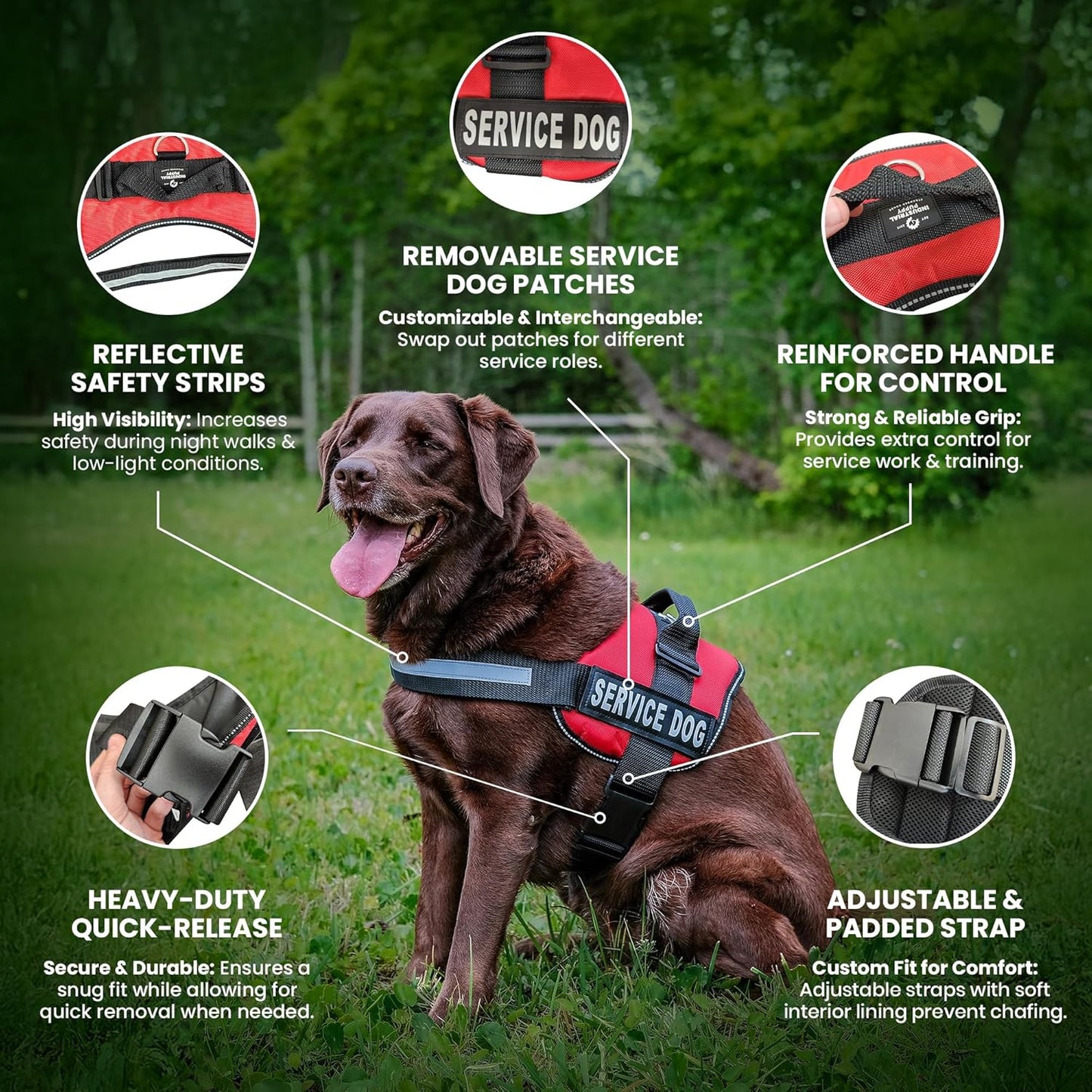 Service Dog Vest with Hook and Loop Straps & Matching Service Dog Leash Set - Harnesses from XXS to XXL - Service Dog Harness Features Reflective Patch and Comfortable Mesh Design (Pink, XL)