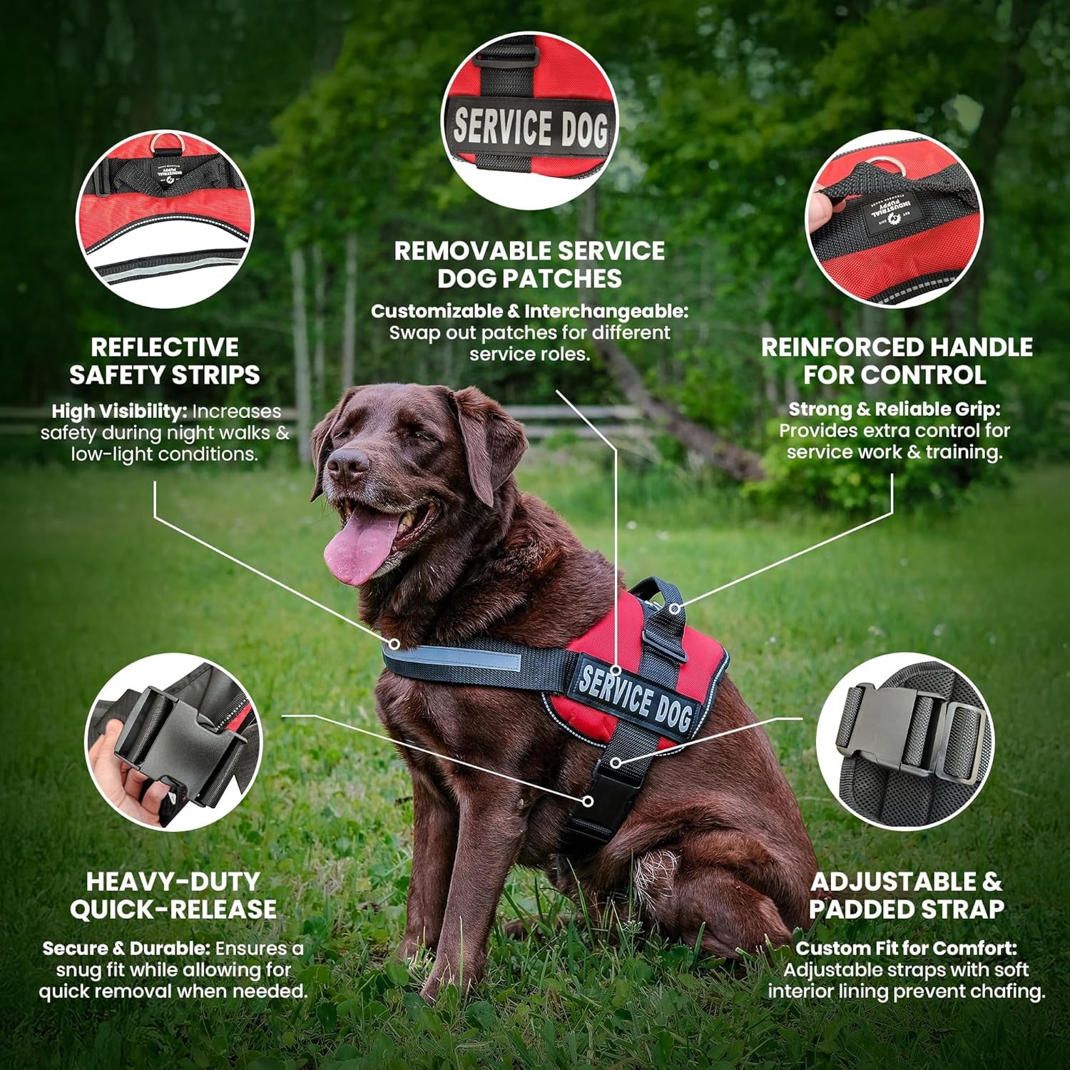 Service Dog Vest with Hook and Loop Straps & Matching Service Dog Leash Set - Harnesses from XXS to XXL - Service Dog Harness Features Reflective Patch and Comfortable Mesh Design (Pink, XL)