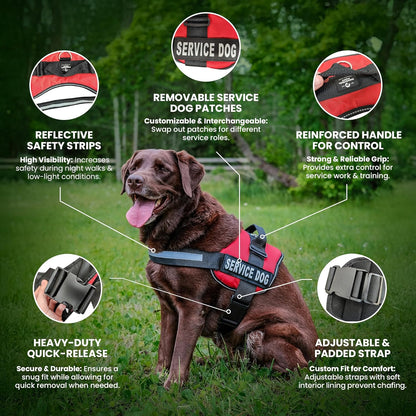 Service Dog Vest with Hook and Loop Straps & Matching Service Dog Leash Set - Harnesses from XXS to XXL - Service Dog Harness Features Reflective Patch and Comfortable Mesh Design (Pink, XL)