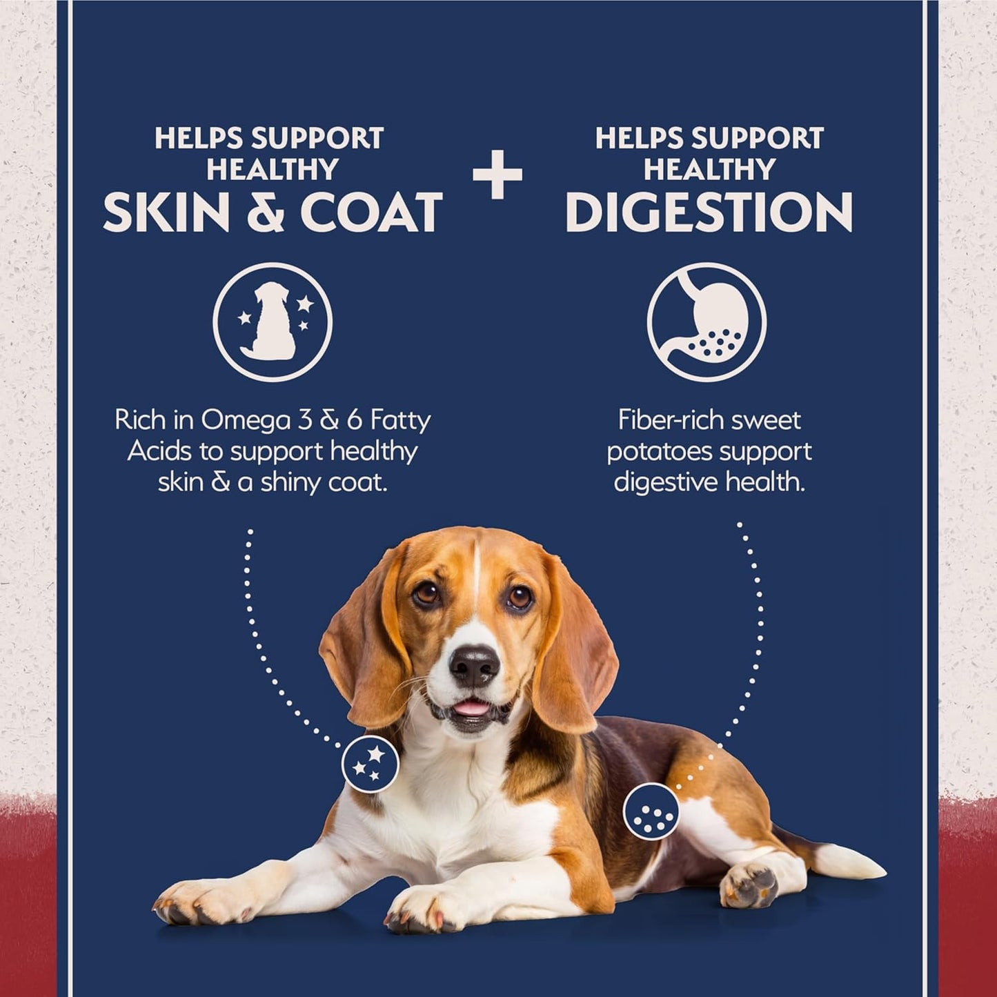 Limited Ingredient Diet Sweet Potato & Bison| Adult Grain-Free Dry Dog Food | 12-Lb. Bag